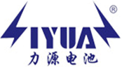 掌中彩